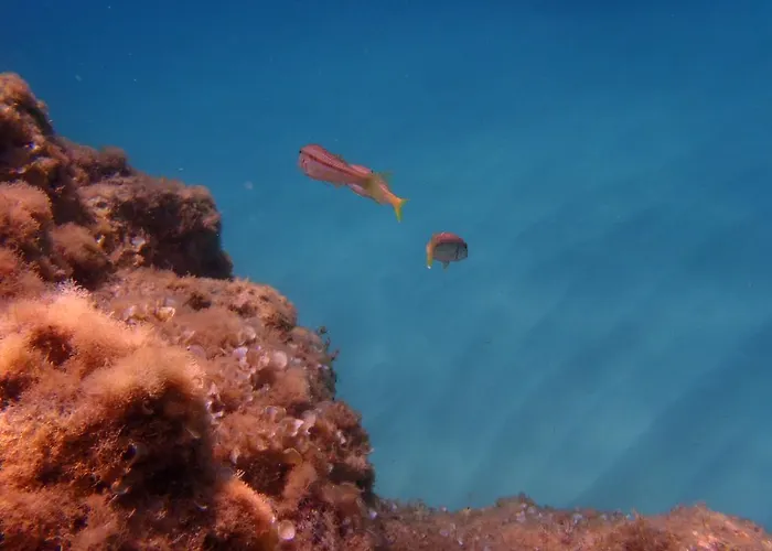 Le Casette Sul Mare Capo Vaticano