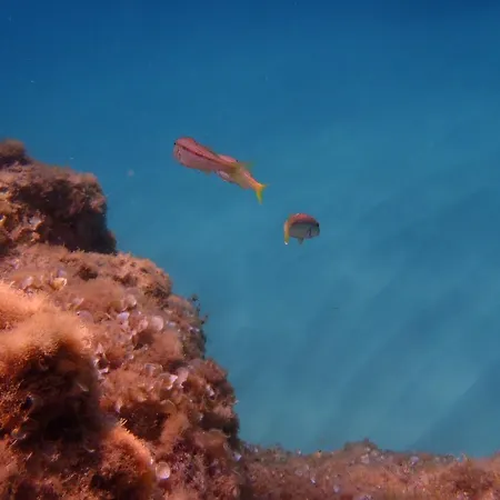Le Casette Sul Mare Capo Vaticano