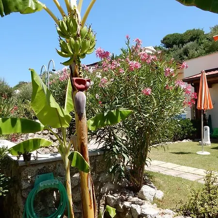 Le Casette Sul Mare